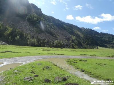 Valle del Tena - Pirineos Atlánticos; castillo viñuelas parque natural de las ubiñas la mesa desnive